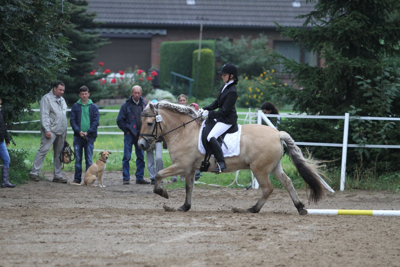 Bild 441 - WBO-Turnier am 18.9.11